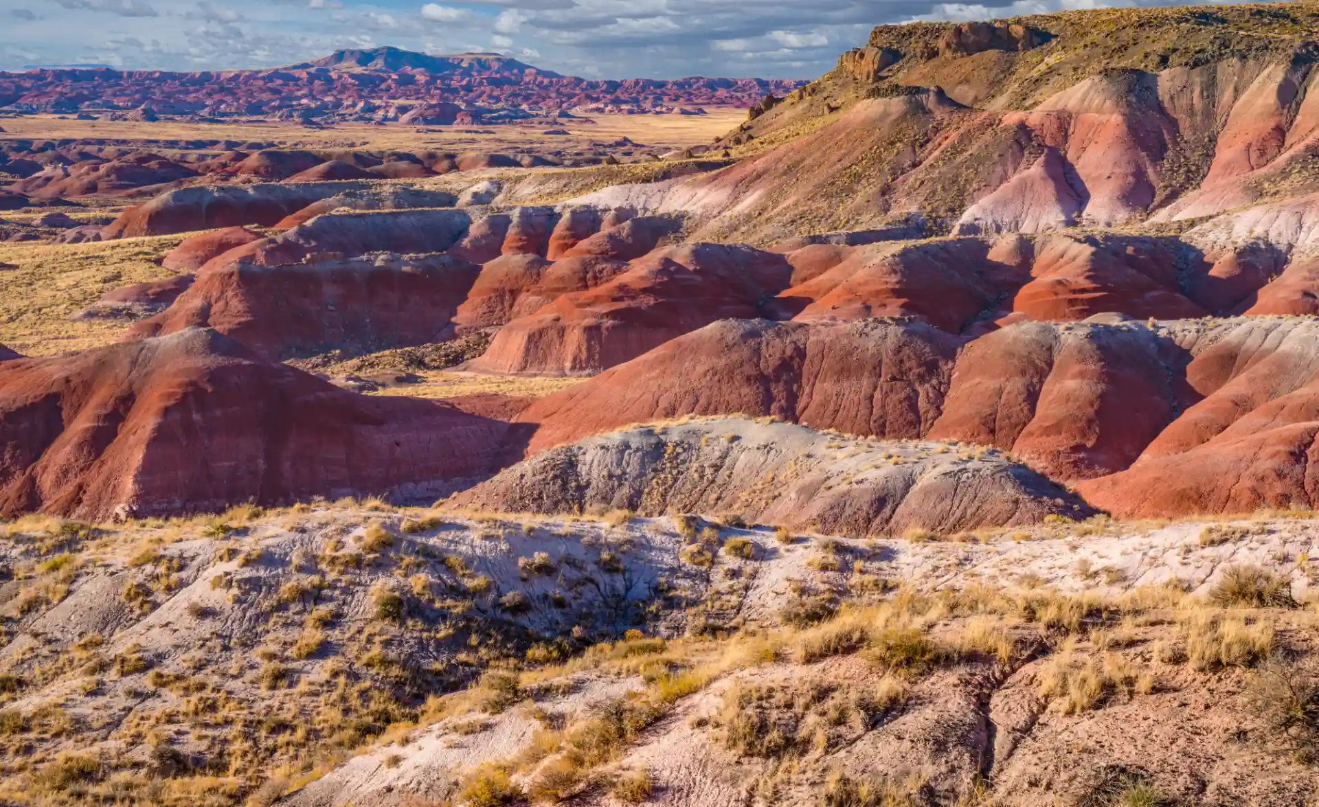 coalmine canyon